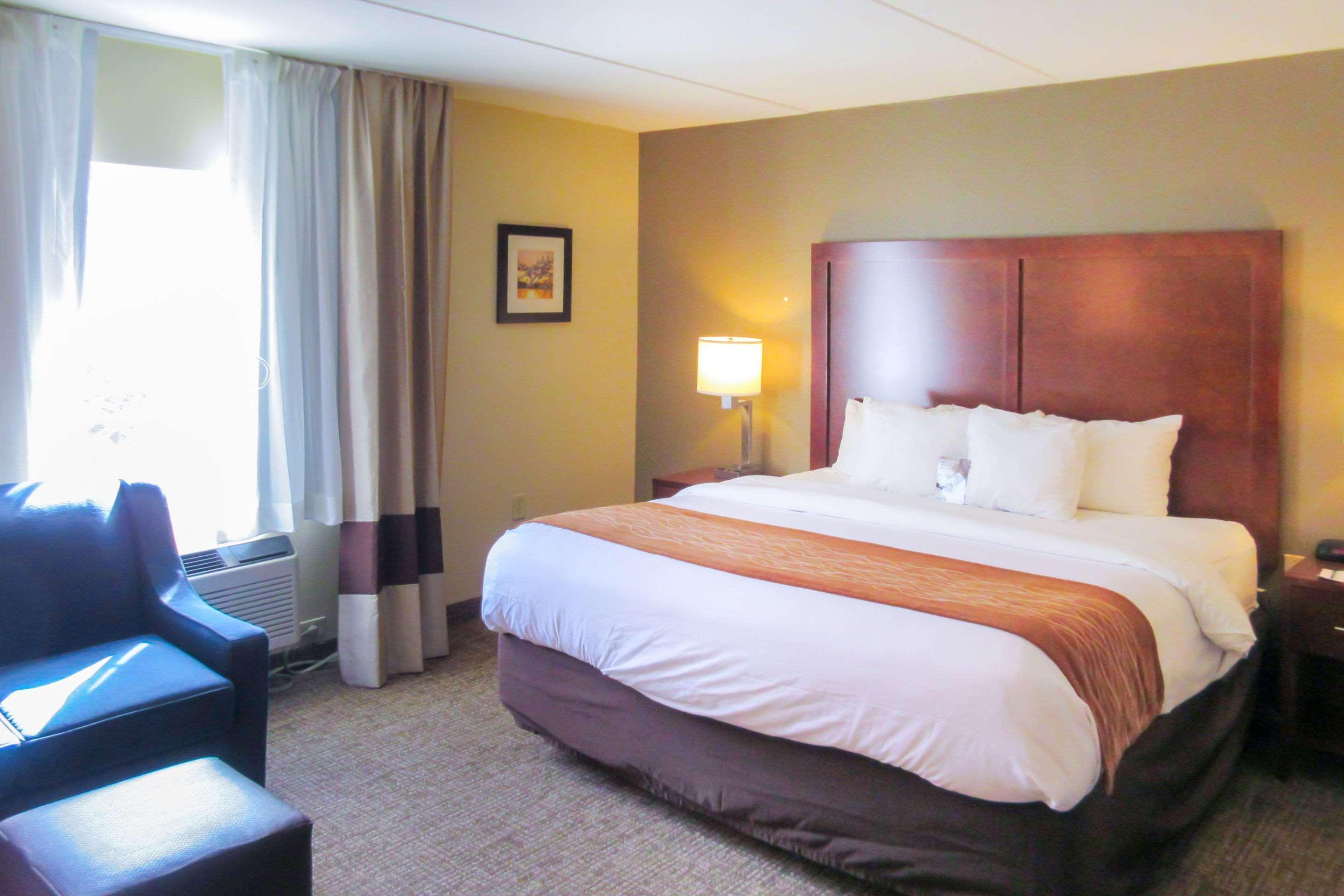 Comfort & Barre - Arena Hotel 2*