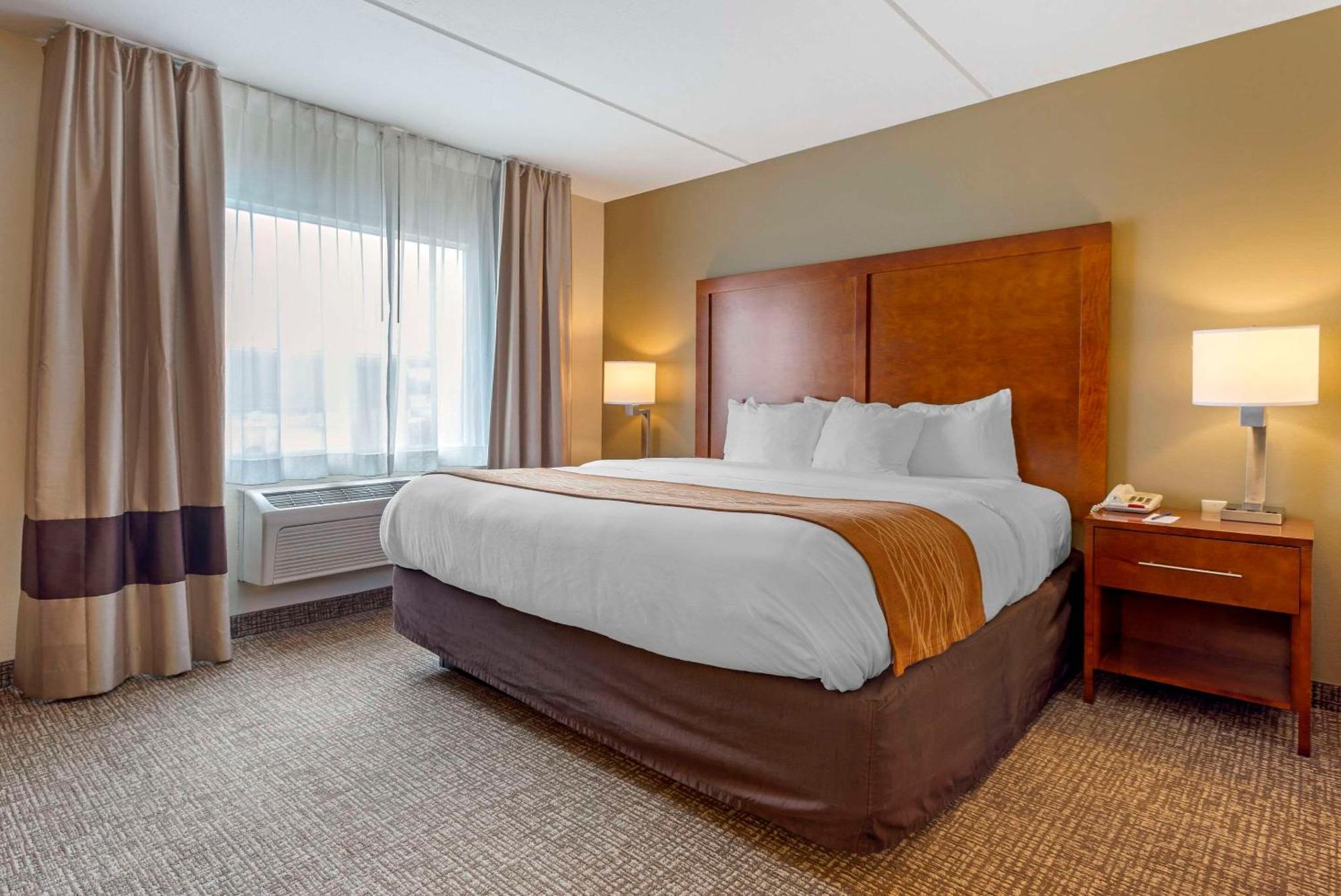 Comfort & Barre - Arena Hotel 2*